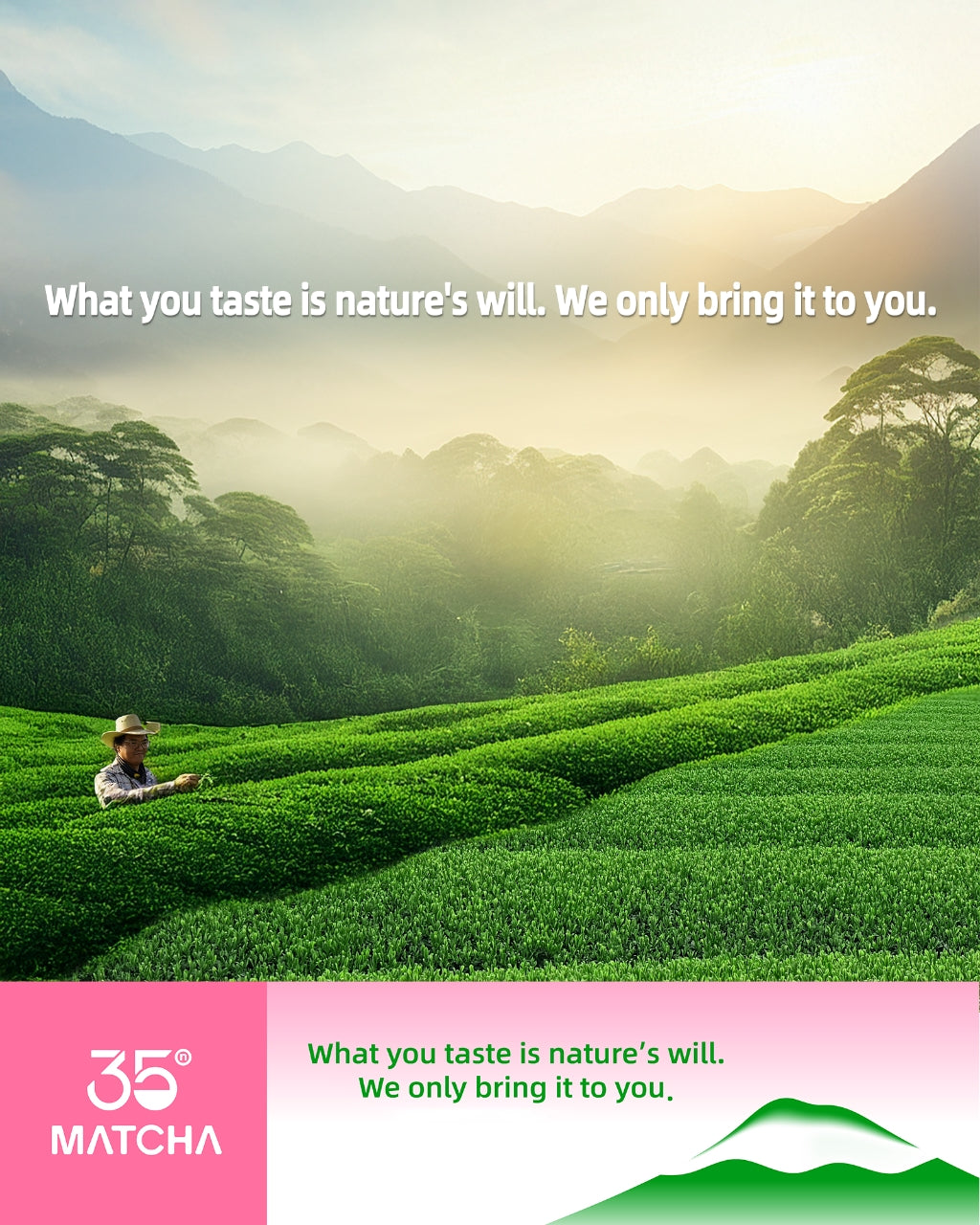 35°N Matcha,Japanese Culinary Matcha 30g